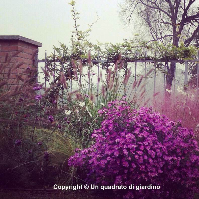 Progettazione giardini online