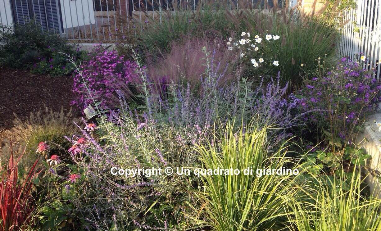 Realizzazione giardini online