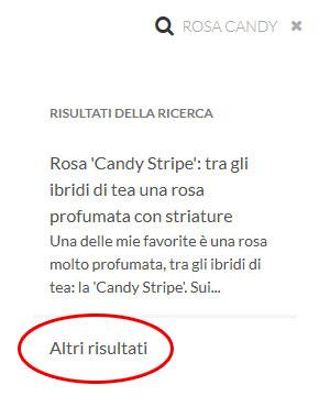 Ricerca contenuti nel sito