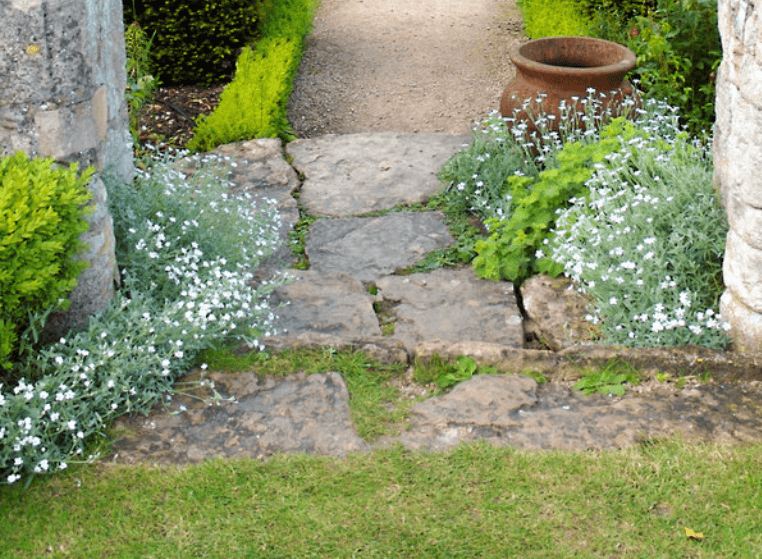 progettazione-creazione-giardini_00002