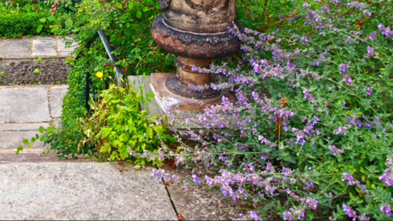 progettazione-creazione-giardini_00006