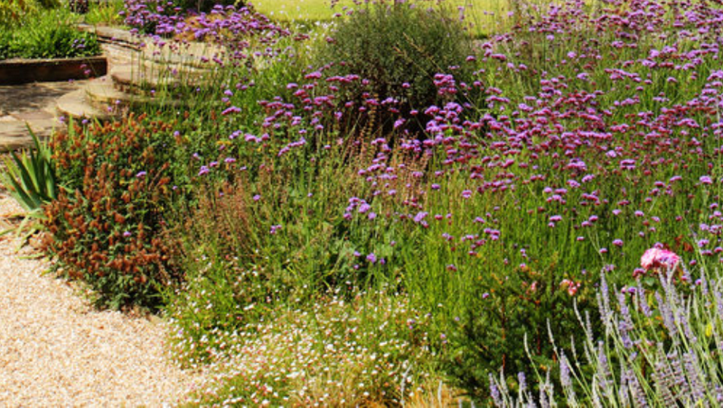 progettazione-creazione-giardini_00007