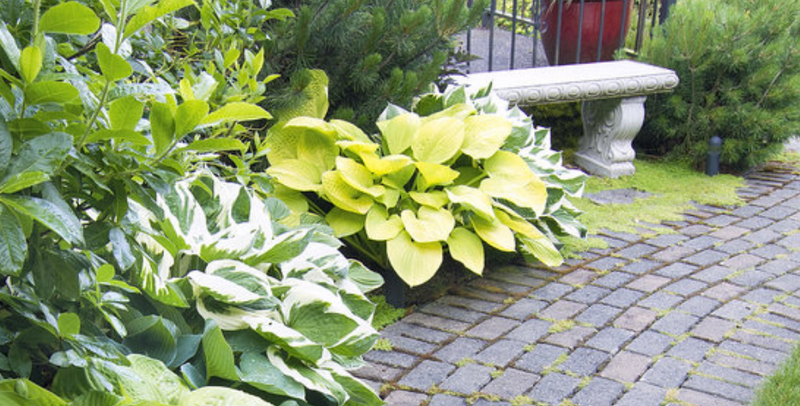 progettazione-creazione-giardini_00012