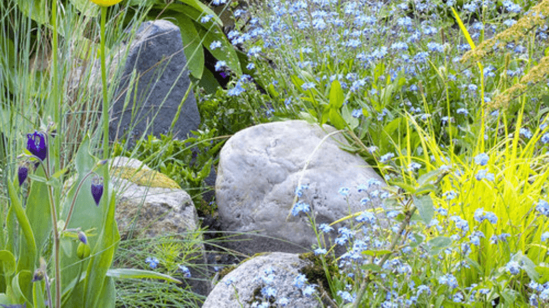 progettazione-creazione-giardini_00014