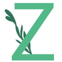 Lettera Z