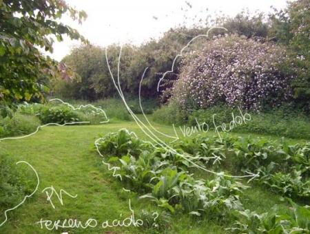 Considerare il clima