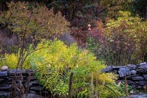 Foglie dorate autunnali