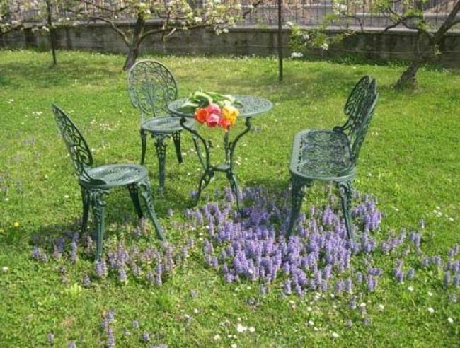 Prato in fiore a primavera