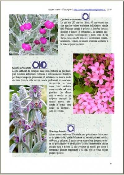 Anteprima Ebook piante tappezzanti