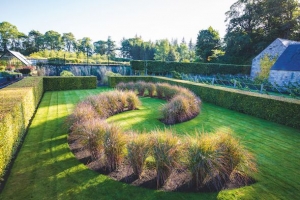 Bordo in linea curva di Miscanthus sinensis