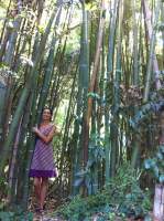 Avatar di Verdenevada