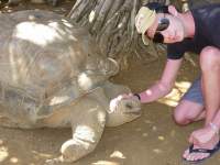 Avatar di Seedling84